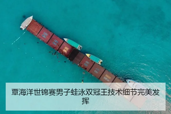 覃海洋世锦赛男子蛙泳双冠王技术细节完美发挥